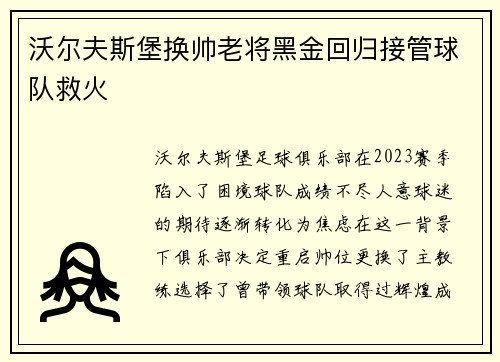 沃尔夫斯堡换帅老将黑金回归接管球队救火